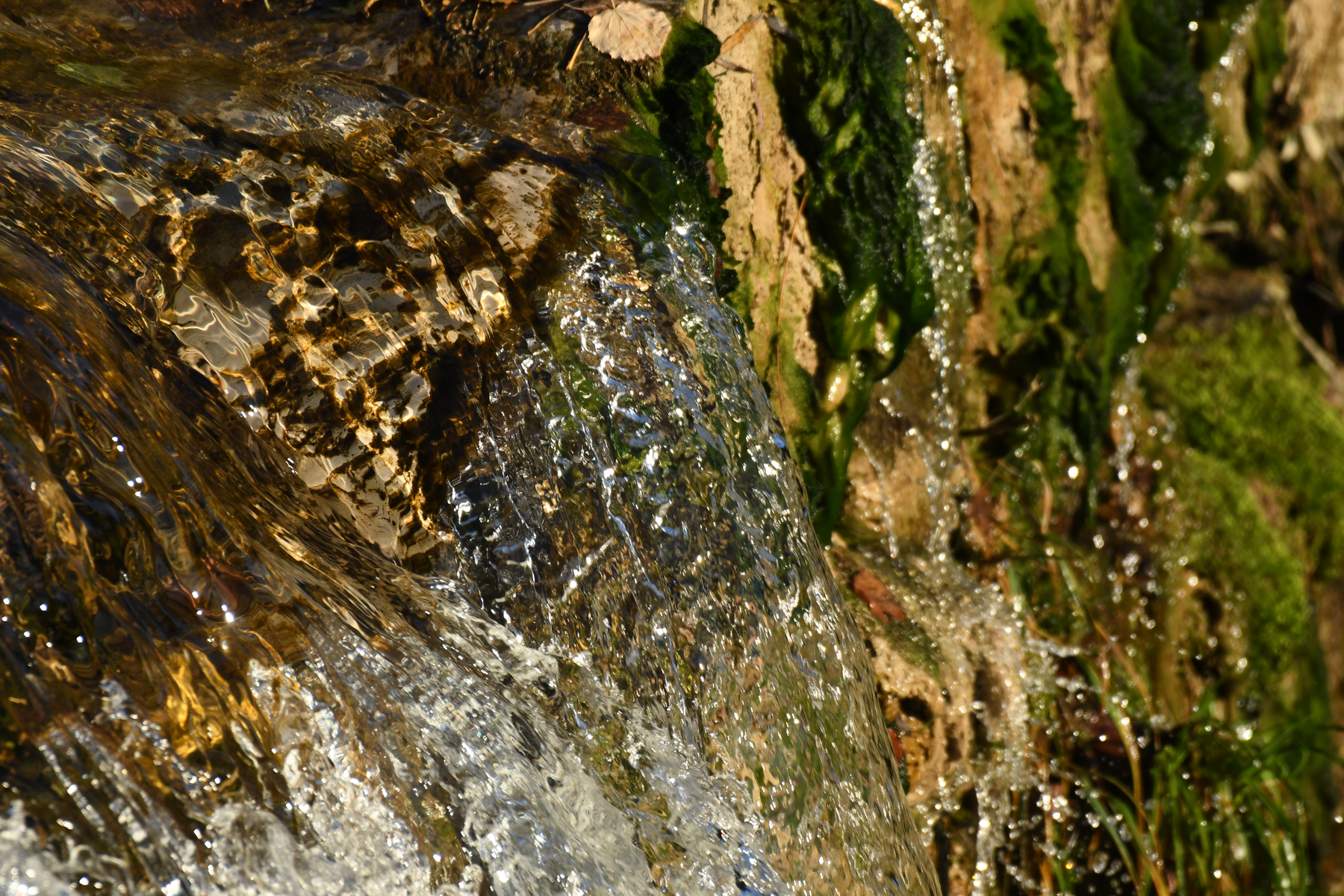 image 1 eau.JPG